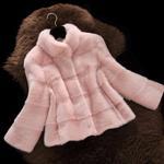 New Haining Fur Ordinary Mink Jacket Stand-collar Mink Coat