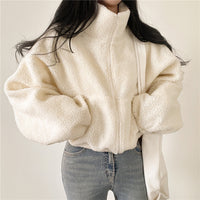 Stand-up Collar Thermal Faux Lamb Fur Coat Women's Autumn And Winter New Loose Temperament Zip Cardigan Tops