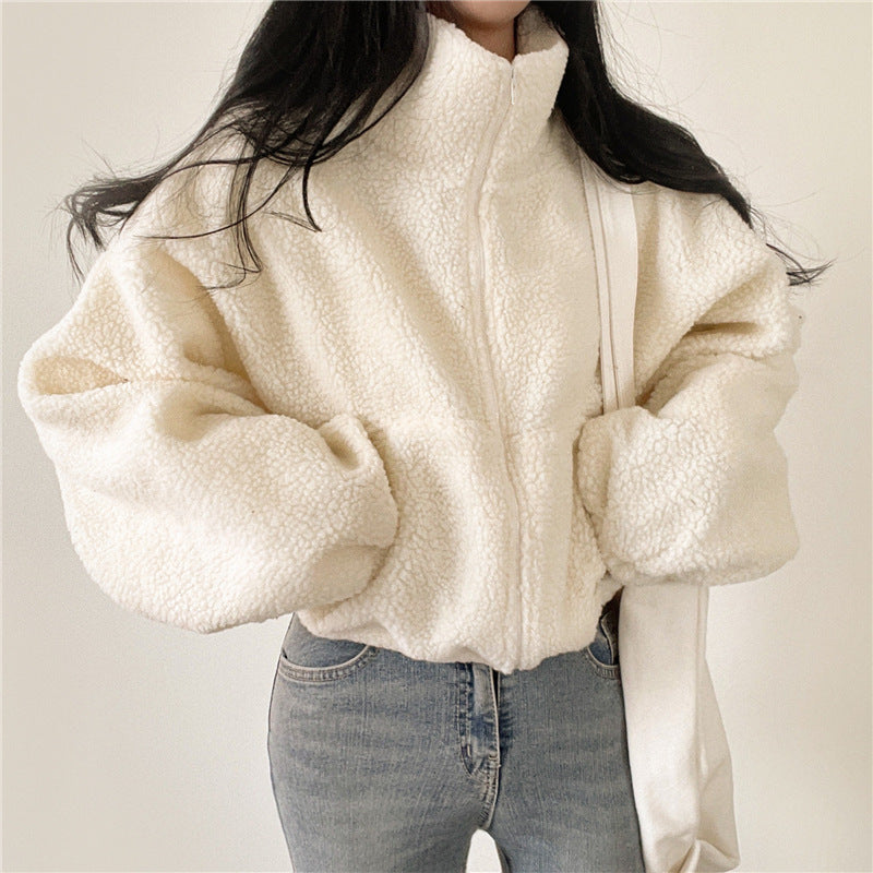 Stand-up Collar Thermal Faux Lamb Fur Coat Women's Autumn And Winter New Loose Temperament Zip Cardigan Tops