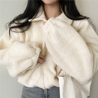 Stand-up Collar Thermal Faux Lamb Fur Coat Women's Autumn And Winter New Loose Temperament Zip Cardigan Tops