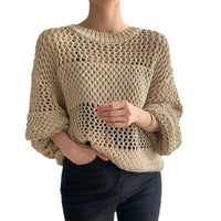 Elegant Retro Round Neck Exquisite Hollow-out Transparent Design Loose Sweater