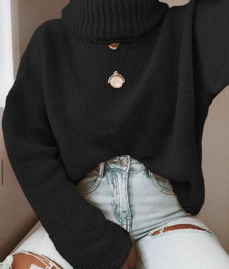 Knitwear Seahorse Hair Pullover Turtleneck Long-sleeved Sweater