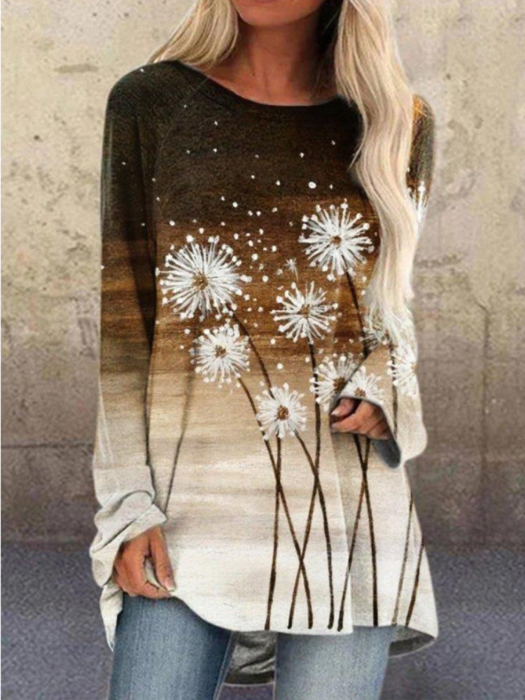 Pullover Long Sleeve Abstract 3D Printed Loose Round Neck Women's T-shirt