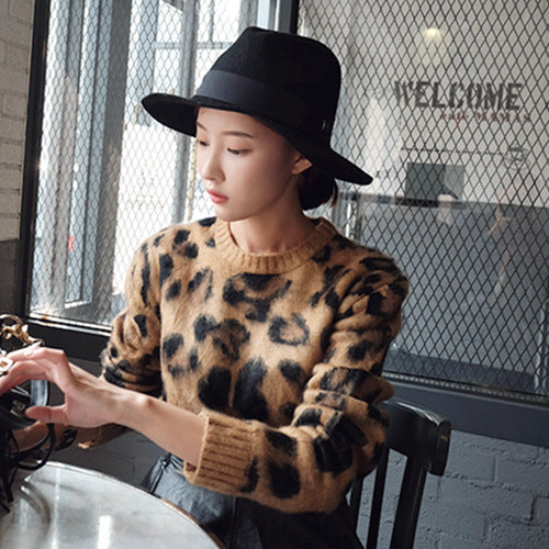 Leopard Print Sweater Women's Fashion Loose Sweater