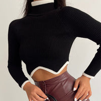 Long Sleeve High Neck Tight Knit Bottom Shirt