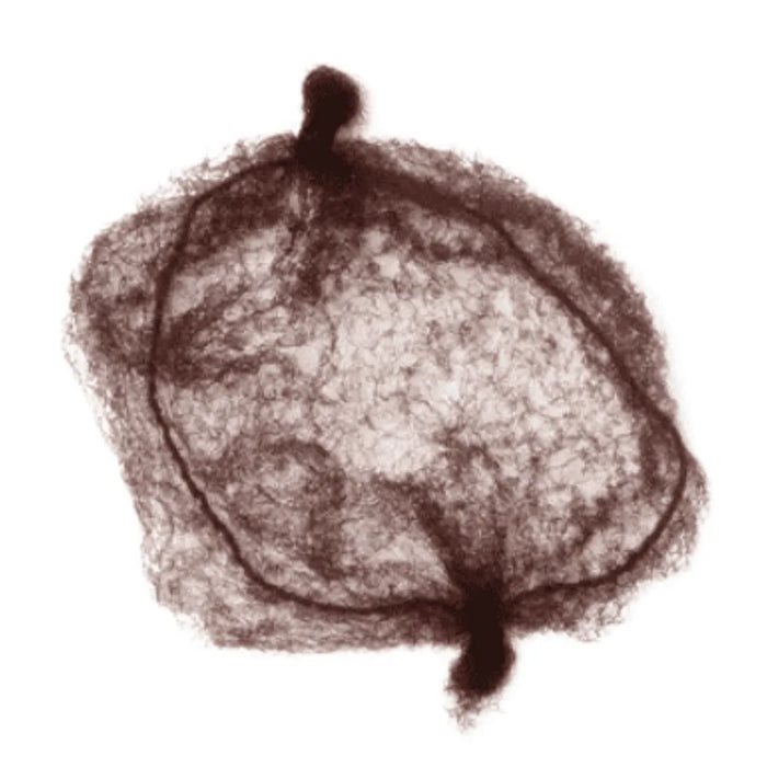 Bun Nets Brown