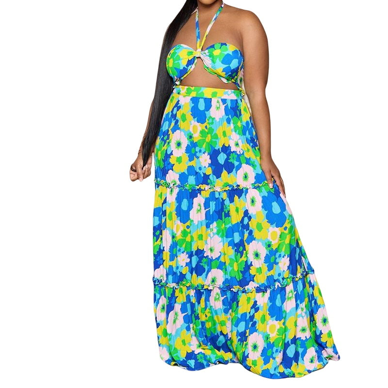 Printed Halter Tube Top Top Swing Suit