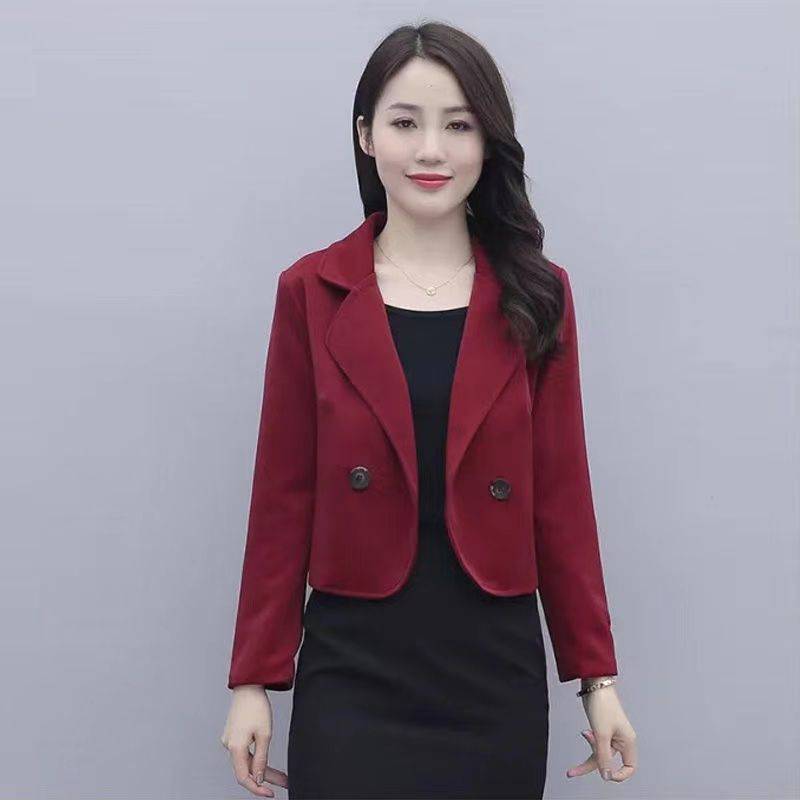 Korean Style Versatile Small Slimming Woolen Top