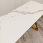 Zion Gold Coffee Table with Polar White Sintered Top