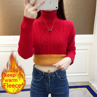 Thick Turtleneck Sweater Female FallWinter Slim