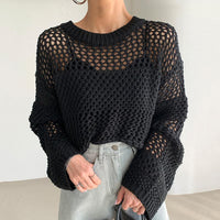 Elegant Retro Round Neck Exquisite Hollow-out Transparent Design Loose Sweater