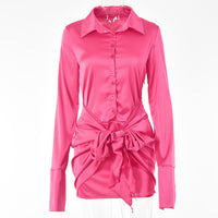 Women's Lace-up A- Line Lapel Long Sleeve Temperament Dress