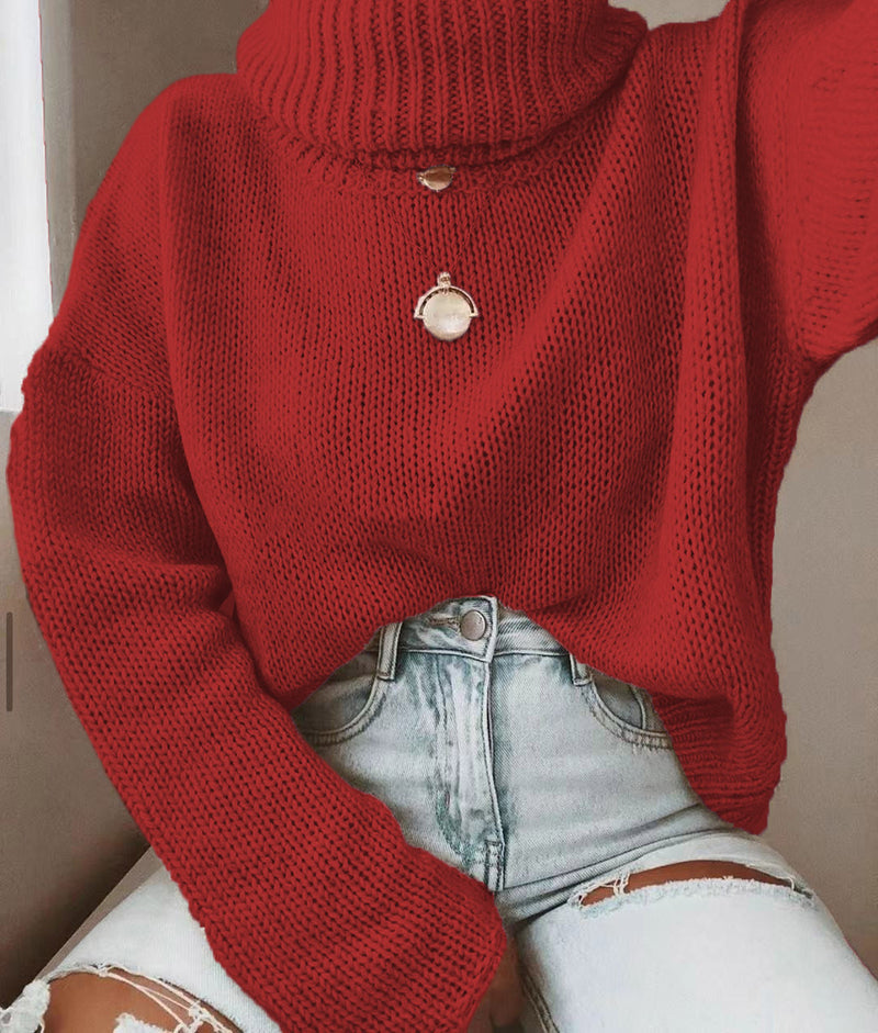 Knitwear Seahorse Hair Pullover Turtleneck Long-sleeved Sweater