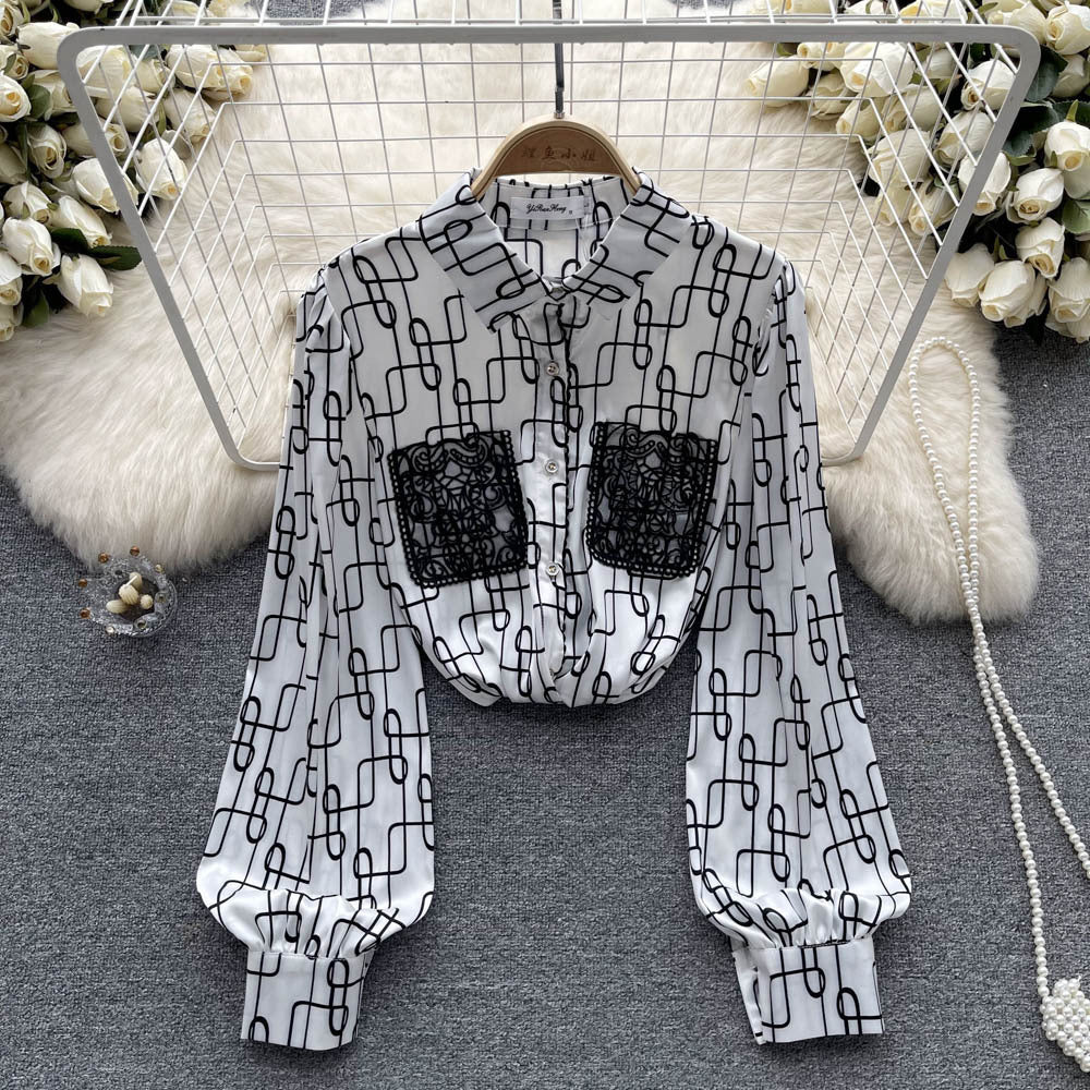 Printed Long Sleeve Chiffon Shirt Women's Early Autumn