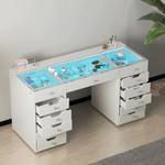 Eva-RGB Vanity Desk Pro - 13 Storage Drawers