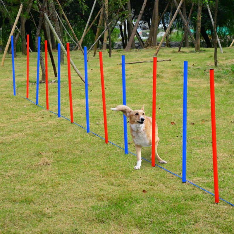 Pet Agility Set Training Play Kit Dog Hoop Poles Tunnel Obedience Equipment