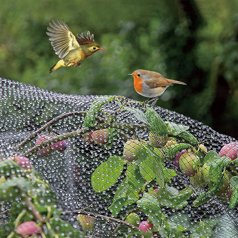 12 x Anti Bird Garden Netting Pond Net Protection Plants Veg Crops Fruit Fine Mesh 2M X 10M